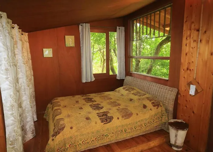 Au Coeur De La Foret Des Landes De Gascogne Belin-Beliet