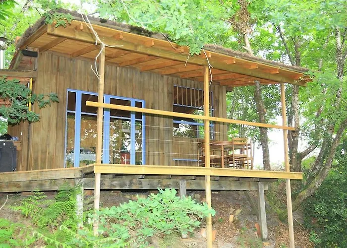 Au Coeur De La Foret Des Landes De Gascogne